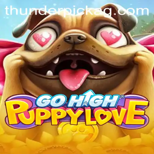 Experience the Excitement of 